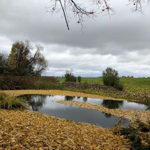 Meet your Posher, Marisol